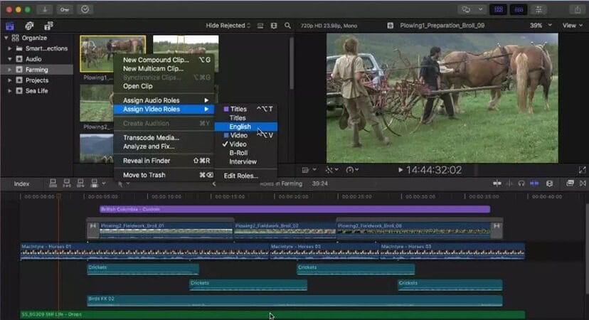 Final Cut Pro full