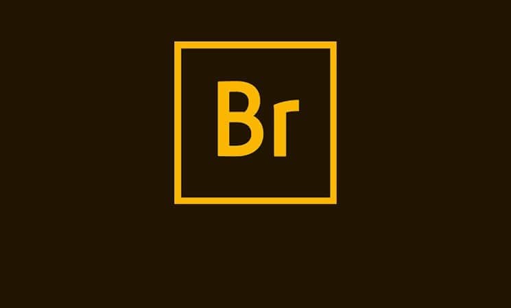 Adobe Bridge gratis