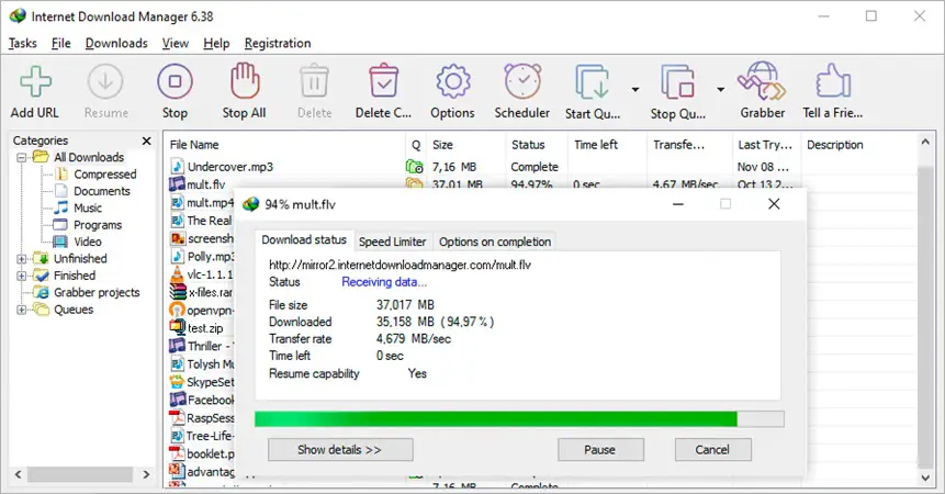 Internet Download Manager full