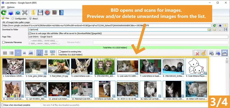 Bulk Image Downloader full