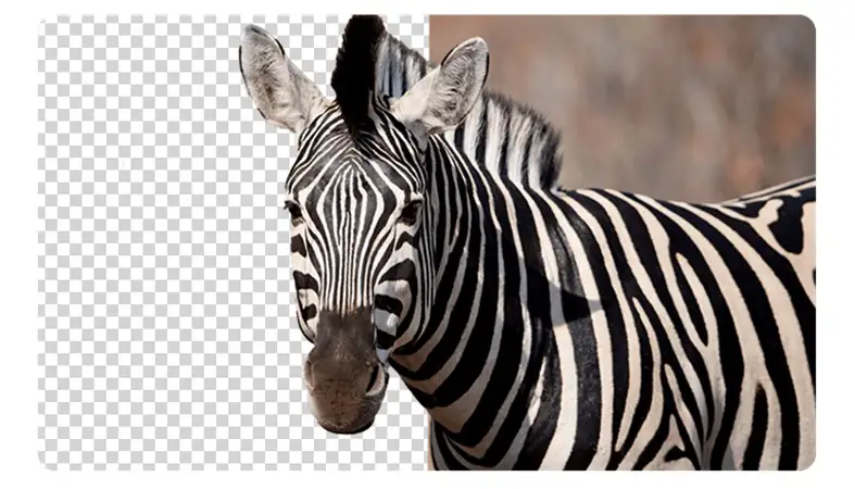 Ashampoo Background Remover 2025 full