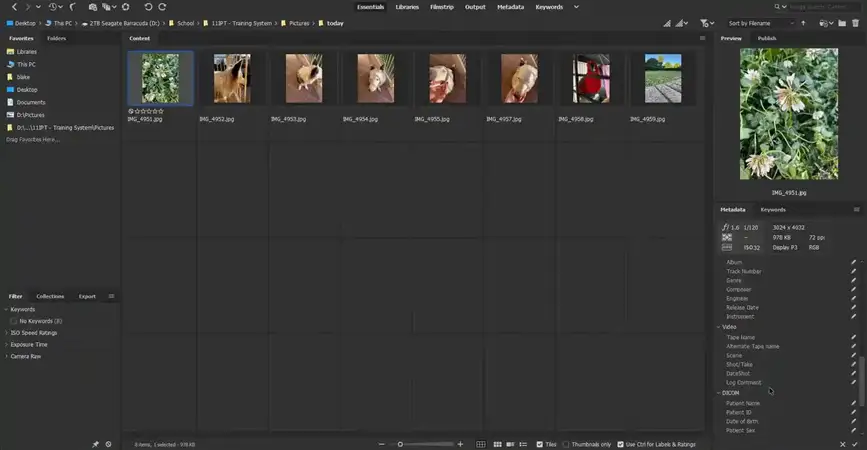Adobe Bridge 2026 gratis