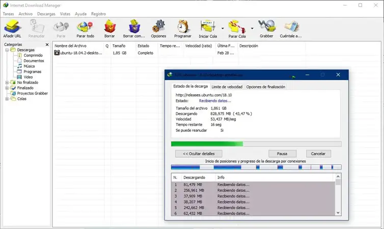 Internet Download Manager 6.42 full